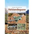 Halsbandleguane: Lebensweise - Pflege - Zucht