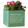 Cube Planter "Motherinlaw" - Green (6")