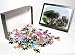 Photo Jigsaw Puzzle of Tiger hunt in British India, 1800s from North Wind Picture Archives