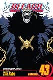 Bleach, Vol. 43 (Bleach (Graphic Novels))