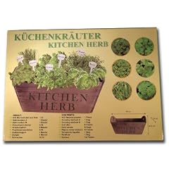 K�chenk�uter Komplettset - 6 K�uter im Blumenk�bel/Pflanzkasten aus Holz - f�r K�che, Balkon, Teasse oder im Gaten - auch eine tolle Geschenk-Idee