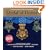 Medal of Honor: Portraits of Valor Beyond the Call of Duty