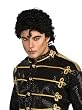 M Jackson Black Curly Wig 80s Pop Star Celebrity Costume Wig