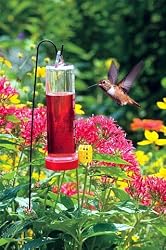 Burpee Complete Hummingbird Garden Kit