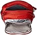 Pacsafe Metrosafe LS250 Anti-Theft Shoulder Bag, Vintage Red