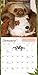 Sloths Wall Calendar 2016