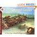 Look Out for Turtles! (Let's-Read-and-Find-Out Science 2)