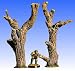 Environment Terrain: Dead Trees 2 (2 pieces)
