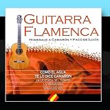 Nº 5 "Your Songs On Spanish Guitar" (Homenaje Flamenco A "Camarón De La Isla")