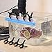 Blulu 8 Pack Sous Vide Cooking Clips for Immersion Circulator Precision Cooker, Sous Vide Cooker Case Compatible with Anova, ChefSteps Joule, Gramercy Kitchen, Gourmia, Kitchen Gizmo