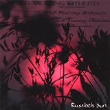 Rustbelt Sun