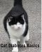 Cat Diabetes Basics