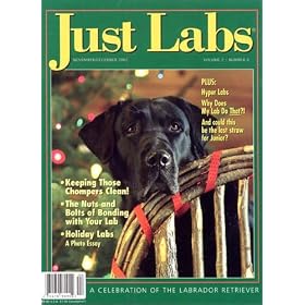 Just Labs by