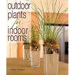 Outdoor Plants for Indoor Rooms