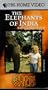 In the Wild: The Elephants of India With Goldie Hawn [VHS]