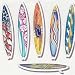 Surf