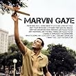 Icon: Marvin Gaye