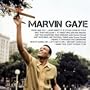 Icon: Marvin Gaye