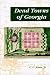 Book Dead Towns of Georgia (Collections of the Georgia Historical Society)