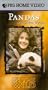 In the Wild - Pandas with Debra Winger [VHS]