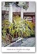 Palais de los Mergiser de Lebnja by Isidora Lazaro 34"x26" Art Print Poster