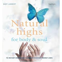 Natural Highs for Body & Soul: 70 Instant Energizers to Banish Everyday Energy Lows (Hamlyn Mind, Body, Spirit S.)
