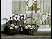 Don't Put All Your Eggs In One Basket by Pauline Campanelli Art Print Poster 31 x 27