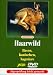 Haarwild - Hasen/Kaninchen/Nagetiere
