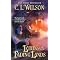 Books: Fantasy, Historical and Romance Series