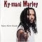Bob Marley's Extended family tree- 14 item list