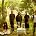 Kayo Dot