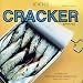 The Camper Van Beethoven and Cracker Collection