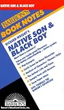 Richard Wright's Native Son & Black Boy (Barron's Book Notes)