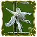 Prairie Larkspur (Delphinium virescens) Jumbo Wildflower Seed Packet - 600 Seeds
