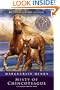 Misty of Chincoteague