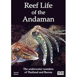 Reef Life Of The Andaman