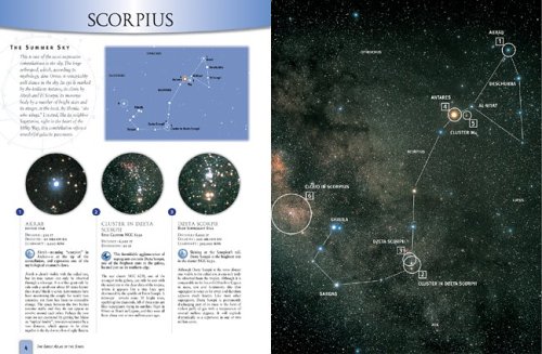 The Concise Atlas of the Stars under Star Gazing in The Books Store