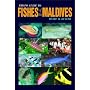 Photo Guide to Fishes of the Maldives (Springfield Atoll Editions)