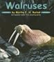 Walruses (Ocean Life)