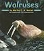 Books : Walruses (Ocean Life)