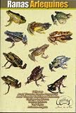 Ranas Arlequines (Harlequin Frogs)