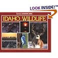 Idaho Wildlife (Idaho Geographic Series, No 2) by Jan L. Wassink