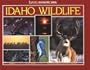 Idaho Wildlife (Idaho Geographic Series)