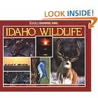 Click here to buy Idaho Wildlife (Idaho Geographic Series, No 2) by  Jan L. Wassink.