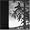 Empyrium - Where at Night the Wood Grouse Plays