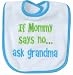 Ask Grandma Bib