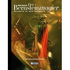 Der Bernsteinmagier. Erstarrt in alle Ewigkeit