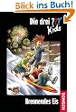 Die drei ??? Kids 40. Brennendes Eis (drei Fragezeichen)