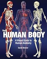 The Human Body: A Visual Guide to Human Anatomy