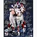 New York Giants Team Autographed Plaxico Burress Touchdown Endzone Celebration 16 x 20 Photogra